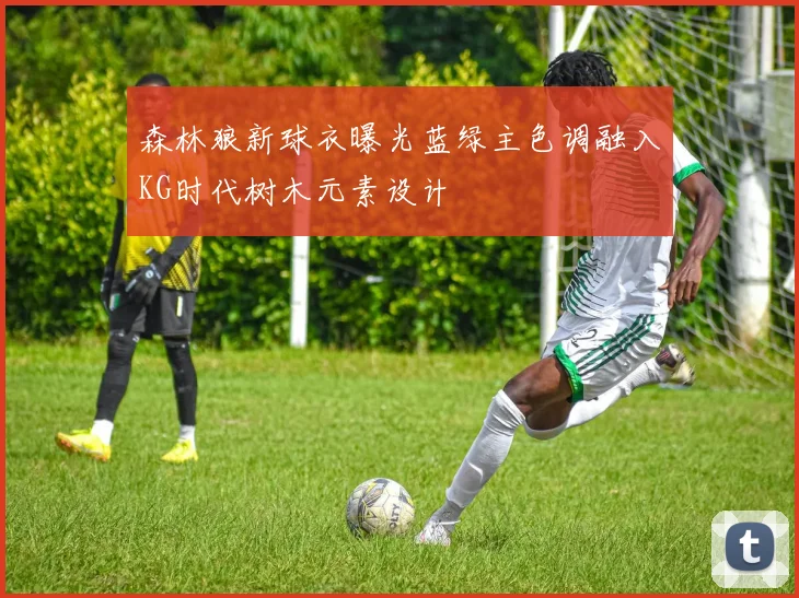 森林狼新球衣曝光蓝绿主色调融入KG时代树木元素设计
