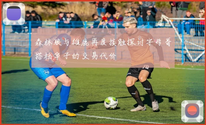 森林狼与雄鹿再度接触探讨字母哥搭档华子的交易代价
